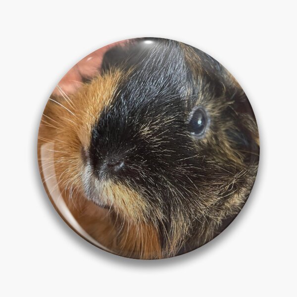 Item preview, My guinea pig cola designed and sold by BonnieButterfly.