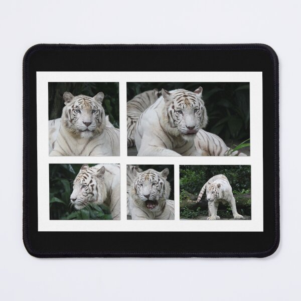 Item preview, White Tiger Beauty designed and sold by LeanneAllen.