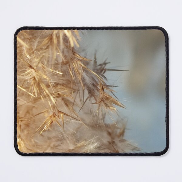 Item preview, Reeds on the edge of the pond of Scamandre in Camargue. designed and sold by KookArt.
