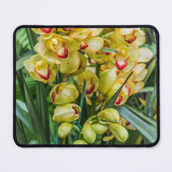 Item preview, Yellow orchids designed and sold by Kevin Hellon.