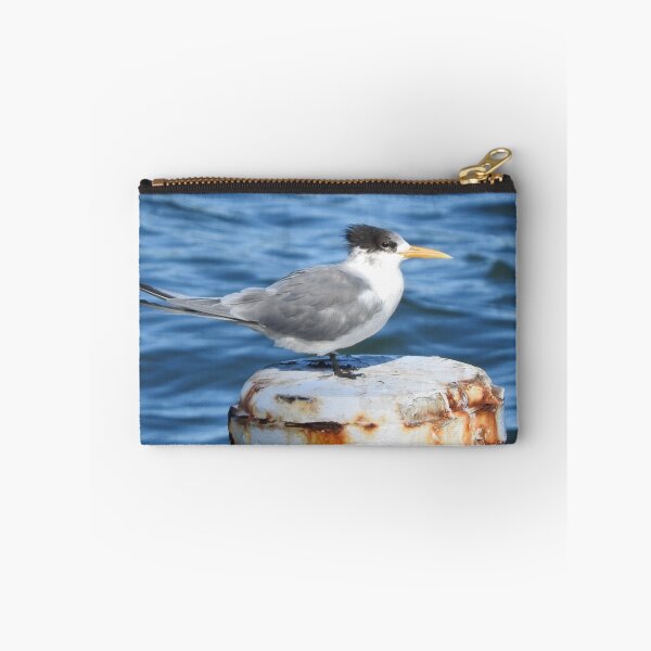 Item preview, Crested Tern designed and sold by kirstybush.