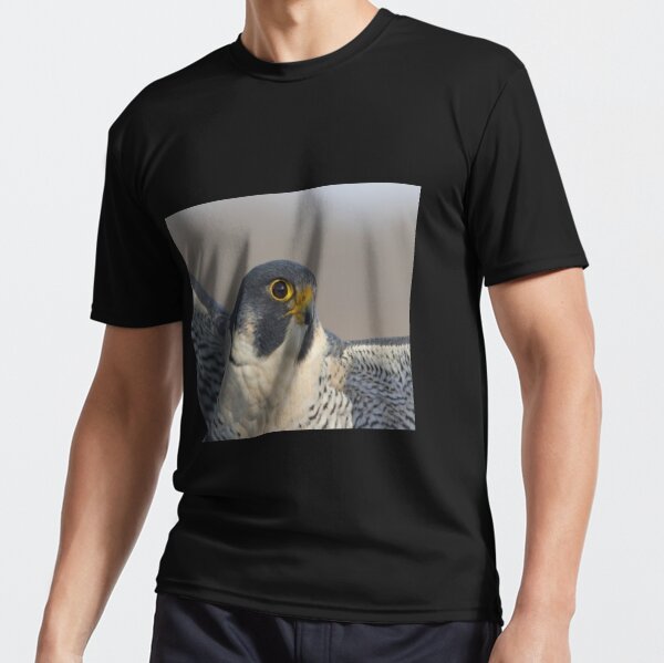 Falcons T-Shirt for Bird Lovers 