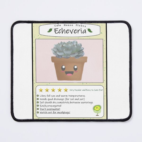 Item preview, The Cute Echeveria Care Guide designed and sold by grahamm1274.