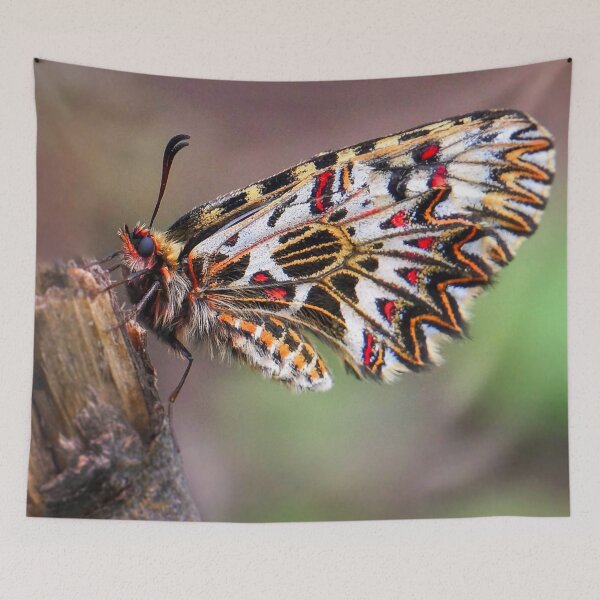 Item preview, Butterfly urticaria, decoration of summer. designed and sold by Mikhail12358.