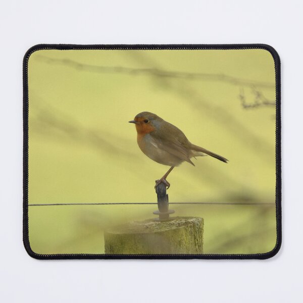 Item preview, Perched Robin designed and sold by rwhooster.