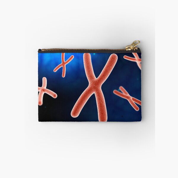 Item preview, Microscopic view of chromosome. designed and sold by StocktrekImages.