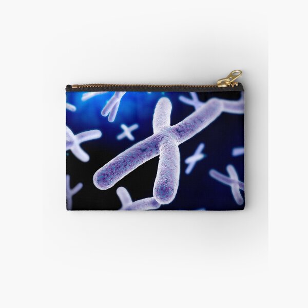 Item preview, Microscopic view of chromosome. designed and sold by StocktrekImages.