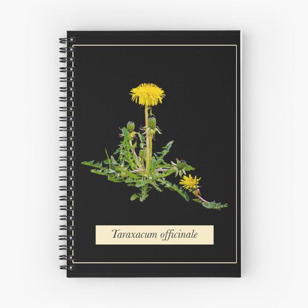 Item preview, Dandelion Botanical Picture designed and sold by Amalus-files.
