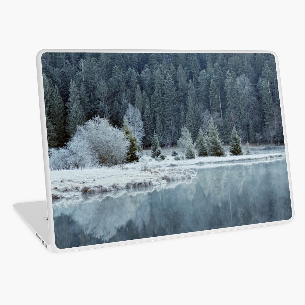 Item preview, Laptop Skin designed and sold by patmo.