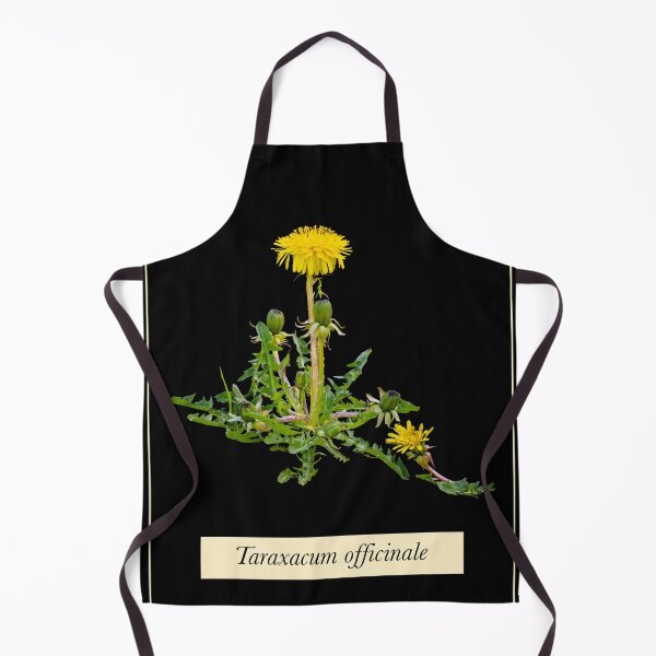 Item preview, Dandelion Botanical Picture designed and sold by Amalus-files.