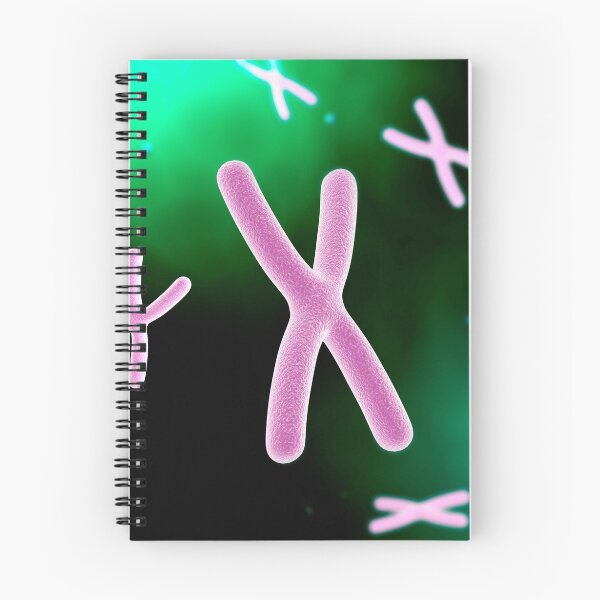 Item preview, Microscopic view of chromosome. designed and sold by StocktrekImages.