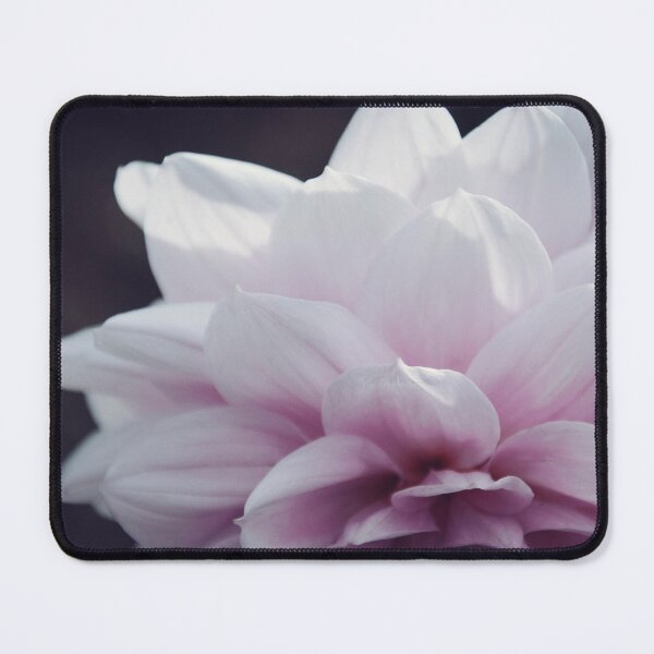 Item preview, Soft Pink Dahlia Close up designed and sold by SofiaAlves.