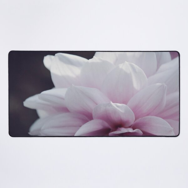 Item preview, Soft Pink Dahlia Close up designed and sold by SofiaAlves.