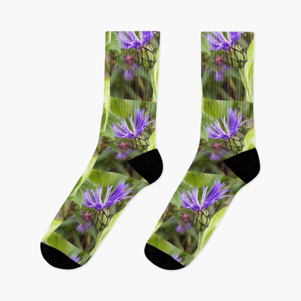 Item preview, Centuruea designed and sold by amanda150771.