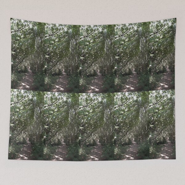 Item preview, Summer Pathway  designed and sold by amanda150771.