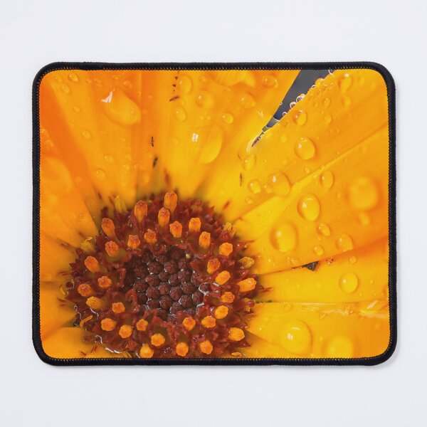 Item preview, A close-up macro photo of a beautiful flower drenched in dew designed and sold by DesignBoard Photography.