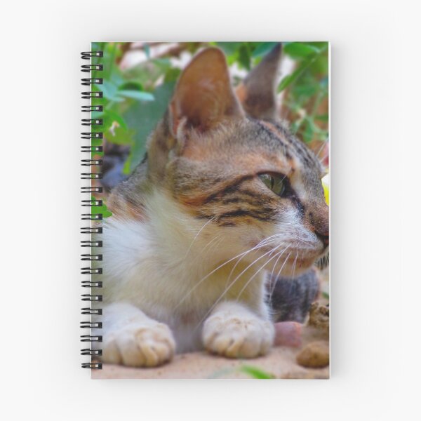 Item preview, cat spiral notebook designed and sold by AM   Store.