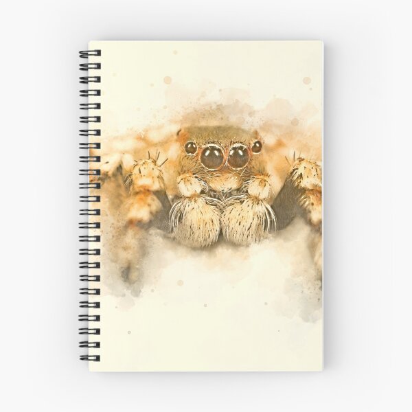 Item preview, Jumpy The Spider designed and sold by Mark Salmon.
