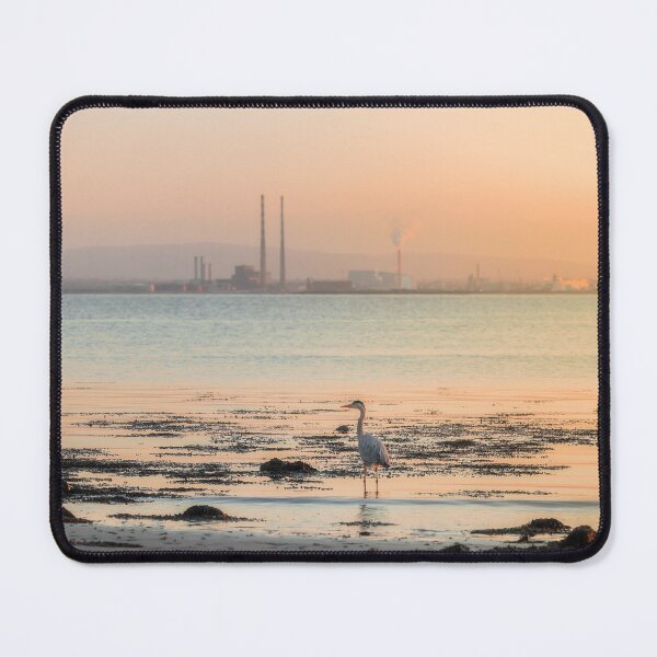 Item preview, Heron Wading in Dublin Bay designed and sold by Paul O'Byrne.