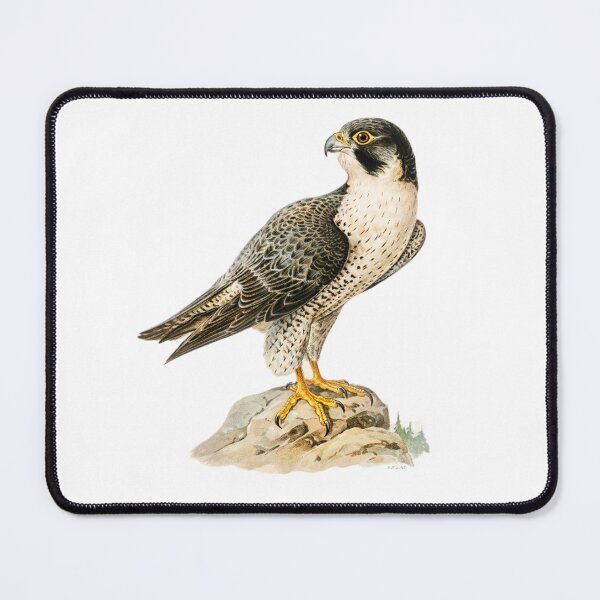 Item preview, Beautiful peregrine falcon  designed and sold by Digitalfred.