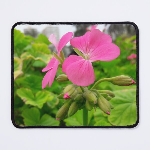 Item preview, pink flower pillow  designed and sold by AM   Store.
