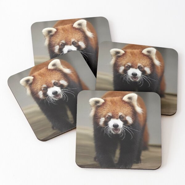 Item preview, Red Panda of China designed and sold by Maddie4Real.