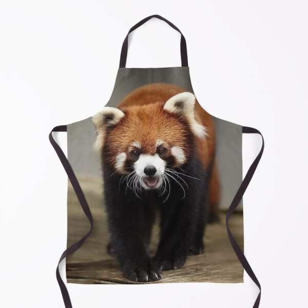 Item preview, Red Panda of China designed and sold by Maddie4Real.