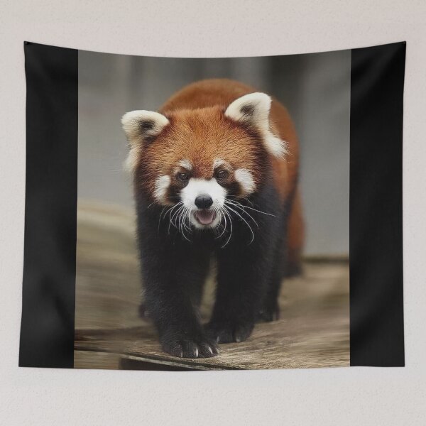 Item preview, Red Panda of China designed and sold by Maddie4Real.