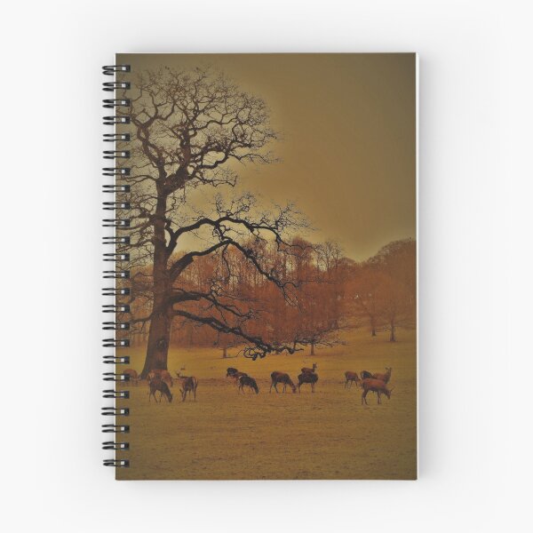 Item preview, Red Deer & The Dormant Oak Tree designed and sold by wiggyofipswich.