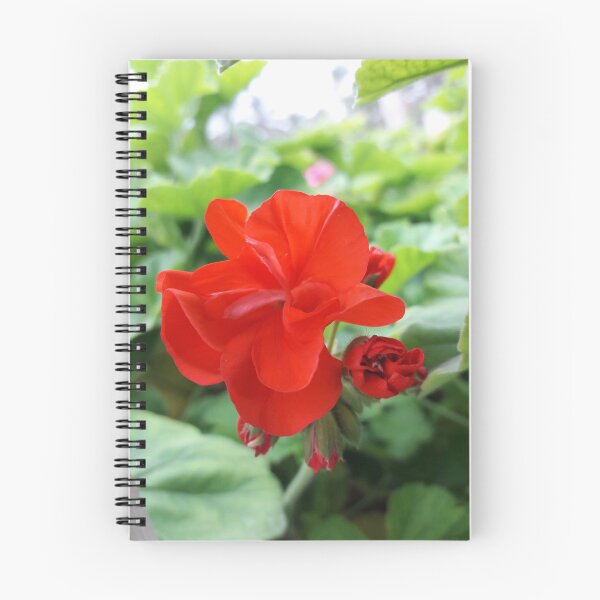 Item preview, red flower spiral notebook designed and sold by AM   Store.