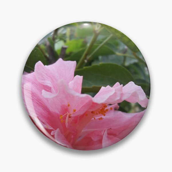 Item preview, pink rose spiral notebook designed and sold by AM   Store.