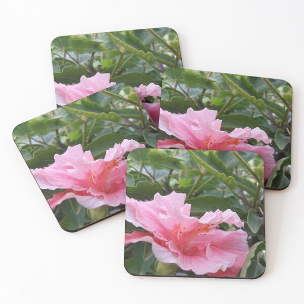 Item preview, pink rose spiral notebook designed and sold by AM   Store.