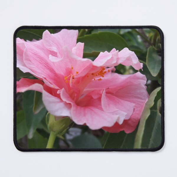Item preview, pink rose spiral notebook designed and sold by AM   Store.