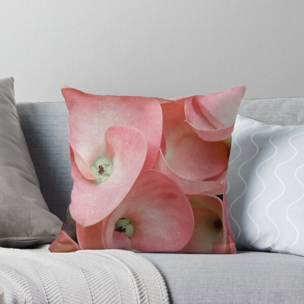 Item preview, Crown of Thorns flowers designed and sold by Dani Leis.