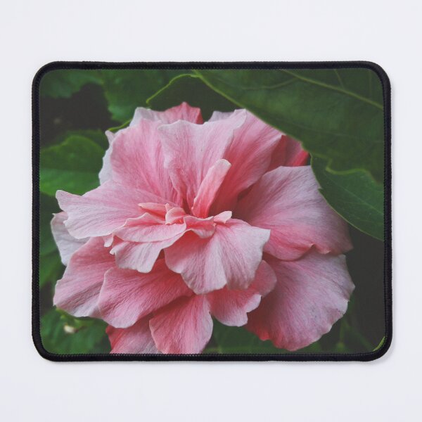 Item preview, pink rose mouse pad designed and sold by AM   Store.