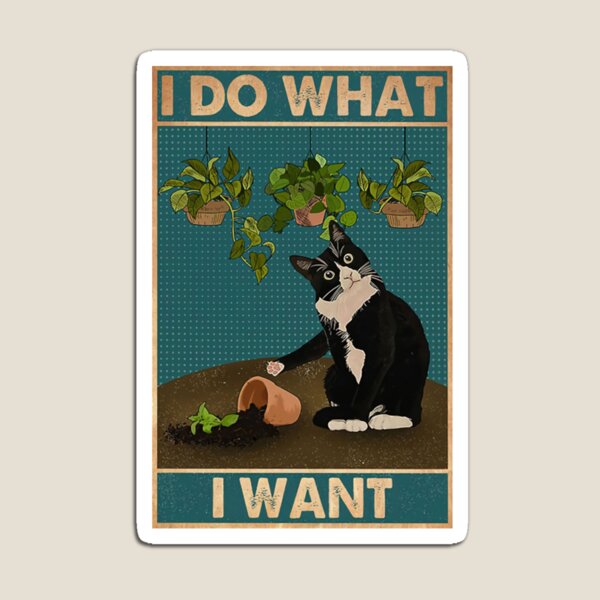 Item preview, Black Cat I Do What I Want Poster designed and sold by partbarew.