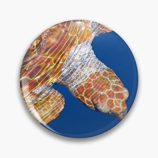 Item preview, Loggerhead turtle Caretta cretta designed and sold by Chloé Yzoard.