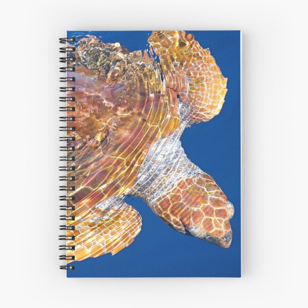 Item preview, Loggerhead turtle Caretta cretta designed and sold by Chloé Yzoard.