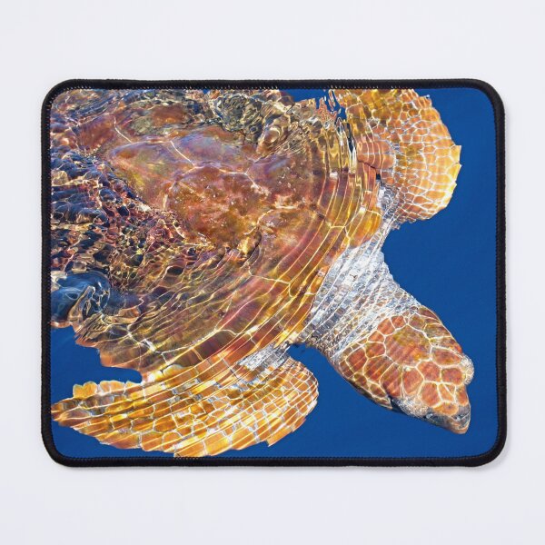 Item preview, Loggerhead turtle Caretta cretta designed and sold by Chloé Yzoard.