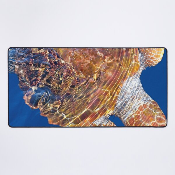Item preview, Loggerhead turtle Caretta cretta designed and sold by Chloé Yzoard.