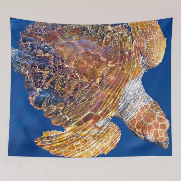 Item preview, Loggerhead turtle Caretta cretta designed and sold by Chloé Yzoard.