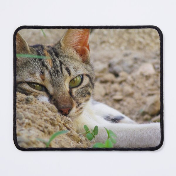 Item preview, cat mouse pad designed and sold by AM   Store.