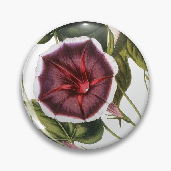 Item preview, Morning Glory  designed and sold by Adidit.