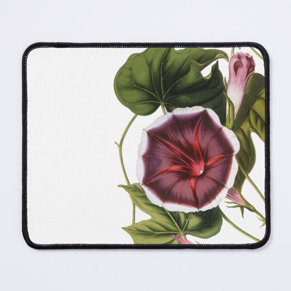Item preview, Morning Glory designed and sold by Adidit.