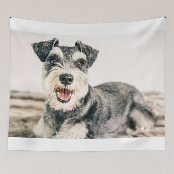Artikelvorschau, Glücklicher Schnauzer-Hund entworfen und verkauft von PillowAndBehold.