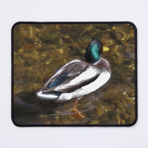 Item preview, Swimming Mallard designed and sold by MandysArtCorner.