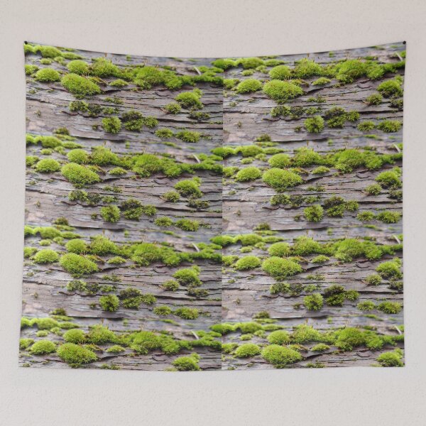 Item preview, Pacific Northwest Mossy Surface Photo  designed and sold by rhodabear.