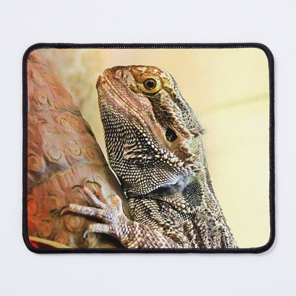 Item preview, Adept climber designed and sold by missmoneypenny.