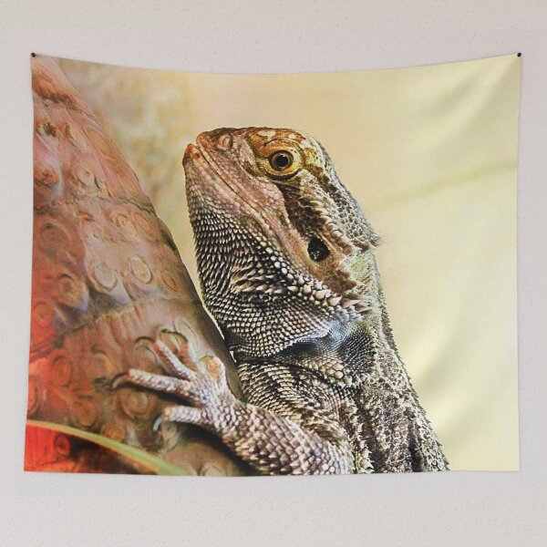 Item preview, Adept climber designed and sold by missmoneypenny.