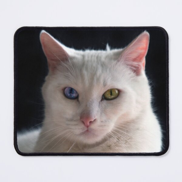 Item preview, Turkish Angora Cat With Odd Eyes designed and sold by Catherine Sherman.